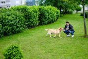 Mann mit Hund im Garten Mann mit Hund im Garten